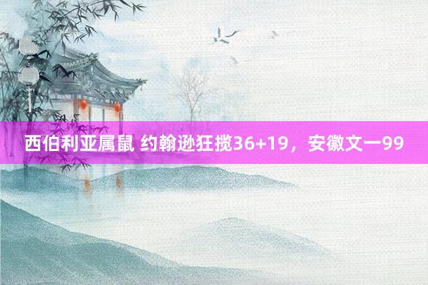 西伯利亚属鼠 约翰逊狂揽36+19，安徽文一99