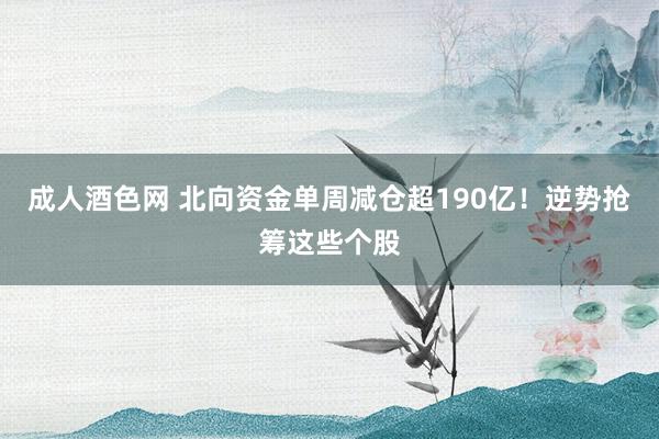 成人酒色网 北向资金单周减仓超190亿！逆势抢筹这些个股