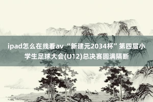 ipad怎么在线看av “新建元2034杯”第四届小学生足球大会(U12)总决赛圆满隔断