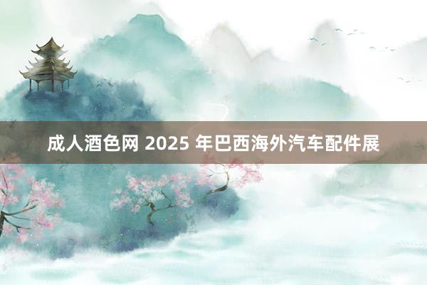 成人酒色网 2025 年巴西海外汽车配件展