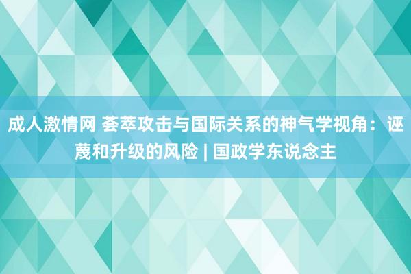 成人激情网 荟萃攻击与国际关系的神气学视角：诬蔑和升级的风险 | 国政学东说念主