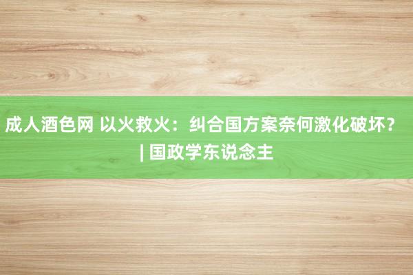 成人酒色网 以火救火：纠合国方案奈何激化破坏？ | 国政学东说念主