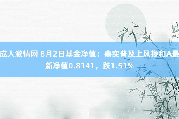 成人激情网 8月2日基金净值：嘉实普及上风搀和A最新净值0.8141，跌1.51%