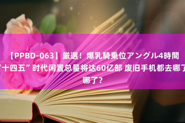 【PPBD-063】厳選！爆乳騎乗位アングル4時間 “十四五”时代闲置总量将达60亿部 废旧手机都去哪了？