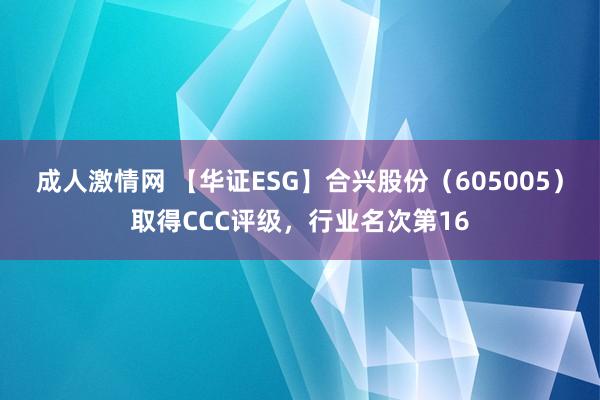 成人激情网 【华证ESG】合兴股份（605005）取得CCC评级，行业名次第16