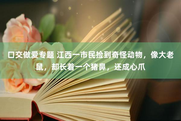 口交做爱专题 江西一市民捡到奇怪动物，像大老鼠，却长着一个猪鼻，还成心爪