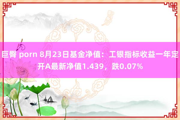 巨臀 porn 8月23日基金净值：工银指标收益一年定开A最新净值1.439，跌0.07%