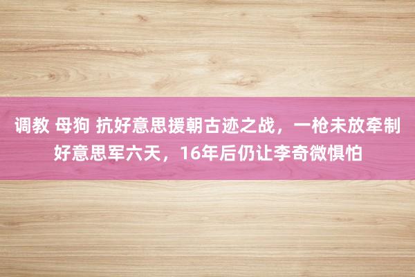 调教 母狗 抗好意思援朝古迹之战，一枪未放牵制好意思军六天，16年后仍让李奇微惧怕