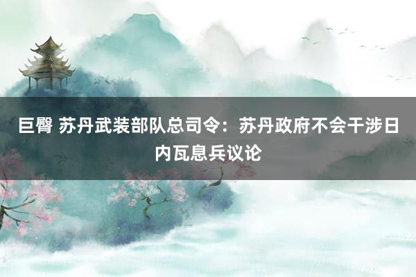 巨臀 苏丹武装部队总司令：苏丹政府不会干涉日内瓦息兵议论