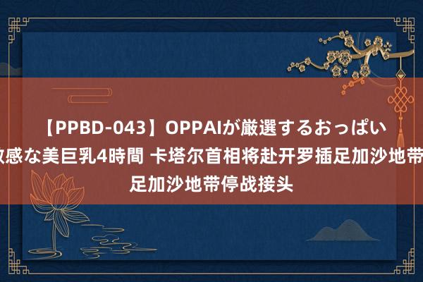 【PPBD-043】OPPAIが厳選するおっぱい 綺麗で敏感な美巨乳4時間 卡塔尔首相将赴开罗插足加沙地带停战接头