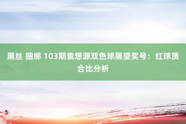 黑丝 捆绑 103期袁想源双色球展望奖号：红球质合比分析