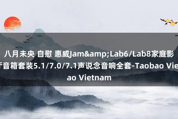 八月未央 自慰 惠威Jam&Lab6/Lab8家庭影院客厅音箱套装5.1/7.0/7.1声说念音响全套-Taobao Vietnam