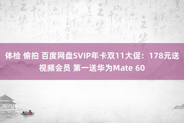 体检 偷拍 百度网盘SVIP年卡双11大促：178元送视频会员 第一送华为Mate 60